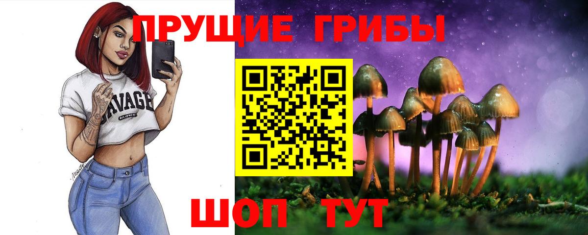 Партизанск  Псилоцибиновые грибы Cubensis  Вход с VPN 